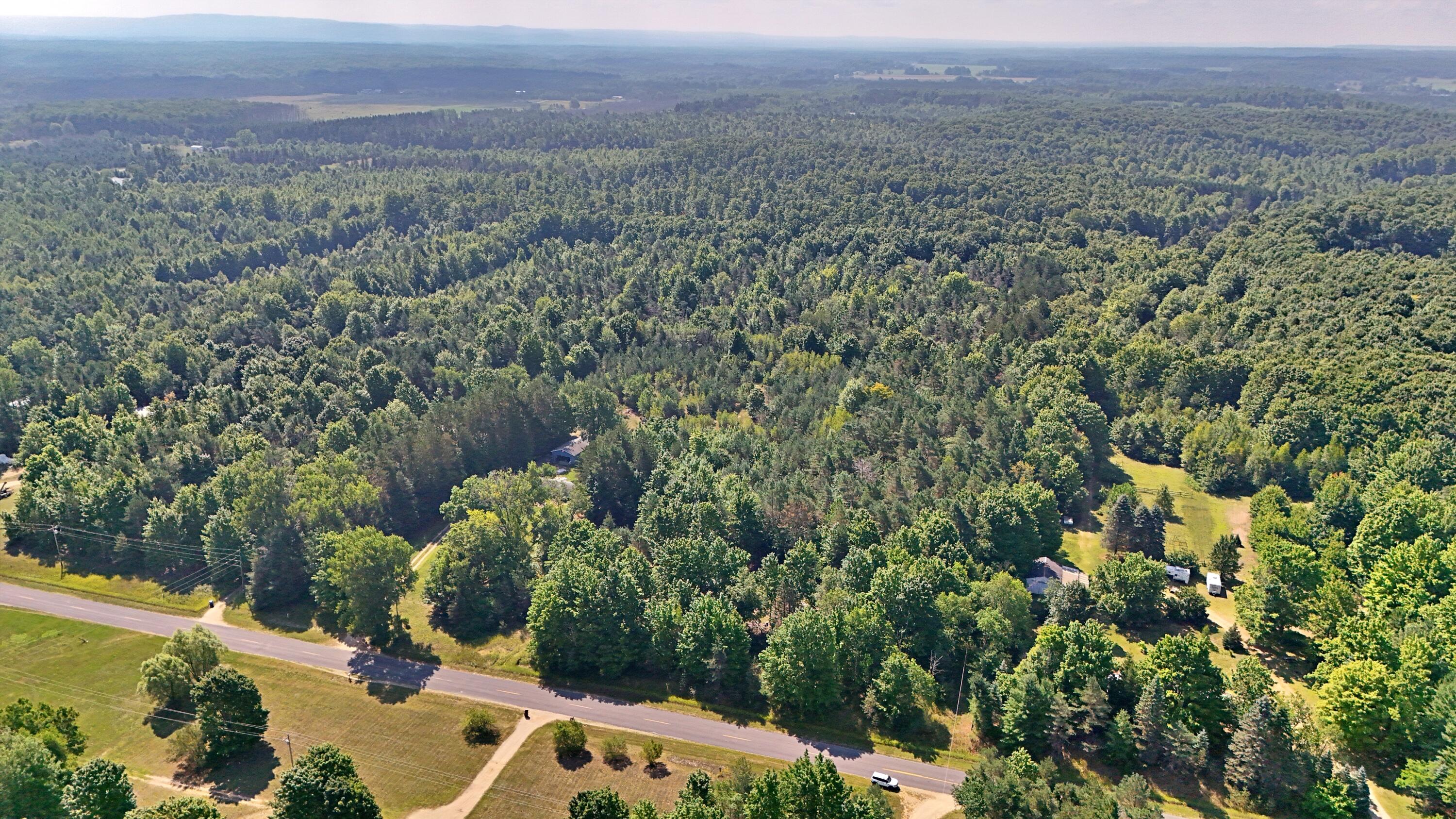 9.75-acres Faylor Road Copemish, MI 49625 - Photo 14 of 26 batch_DJI_20250813115231_0274_D