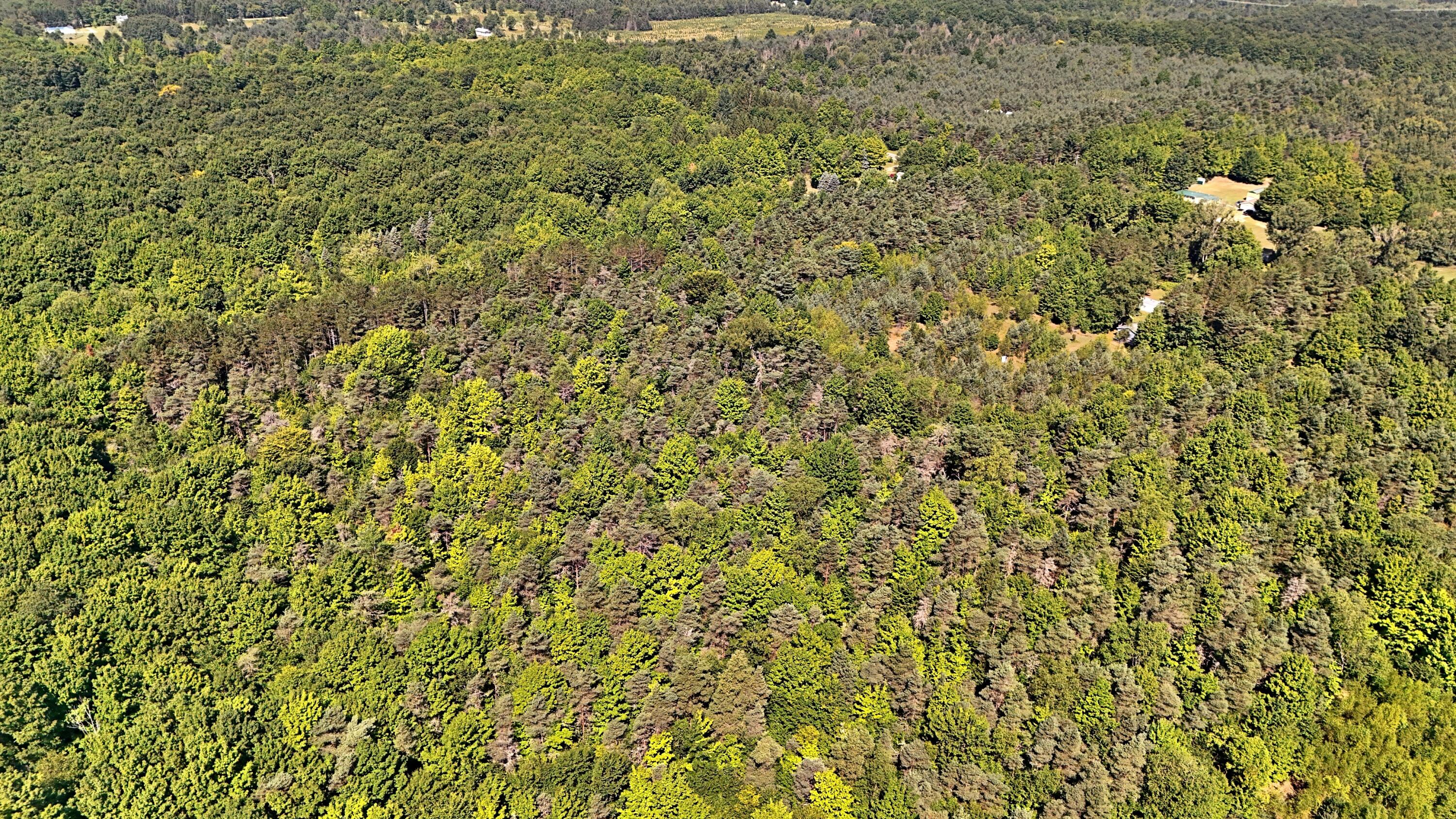9.75-acres Faylor Road Copemish, MI 49625 - Photo 20 of 26 batch_DJI_20250813115547_0280_D