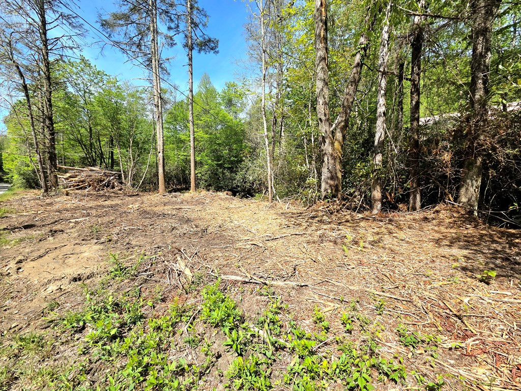 795 Porter Field Gap Road Robbinsville, NC 28771 - Photo 64 of 105