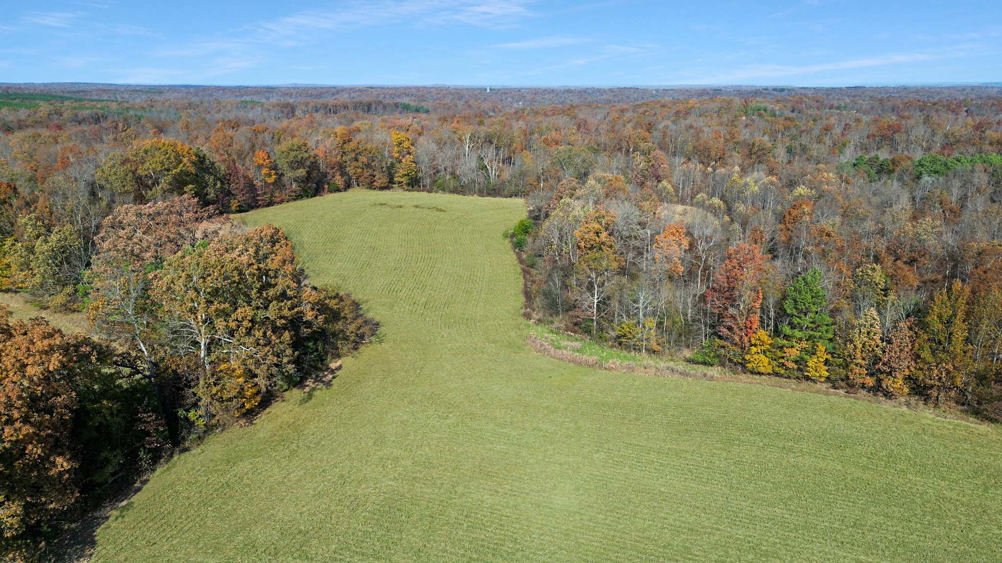 738 Keel Hollow Road Dover, TN 37058 - Photo 4 of 12 a view of a forest with a lake