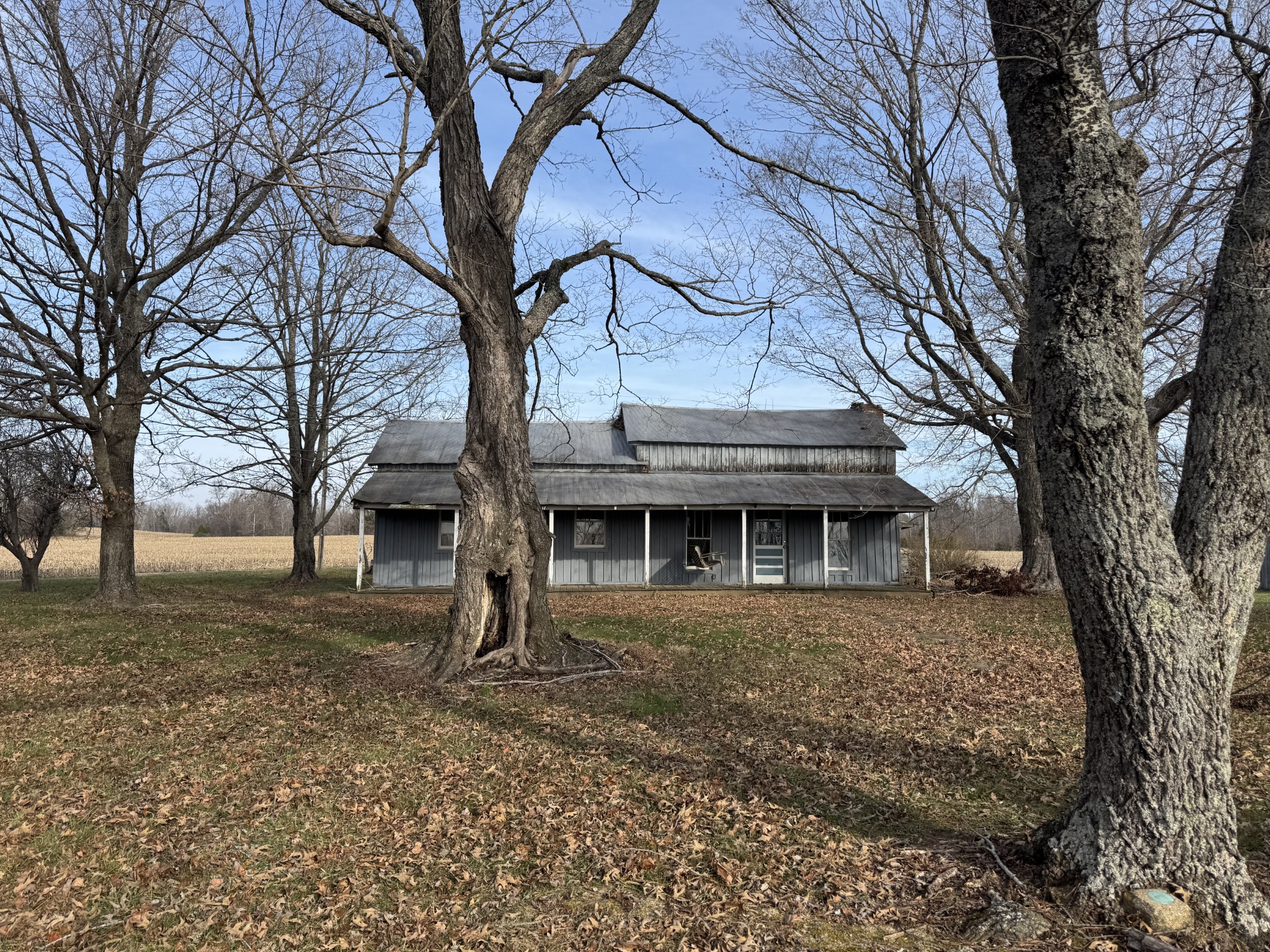 738 Keel Hollow Road Dover, TN 37058 - Photo 5 of 12 a view of a white house with a large tree