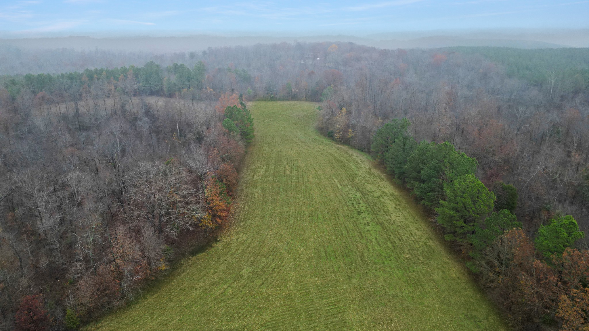 738 Keel Hollow Road Dover, TN 37058 - Photo 6 of 17 a view of a outdoor space