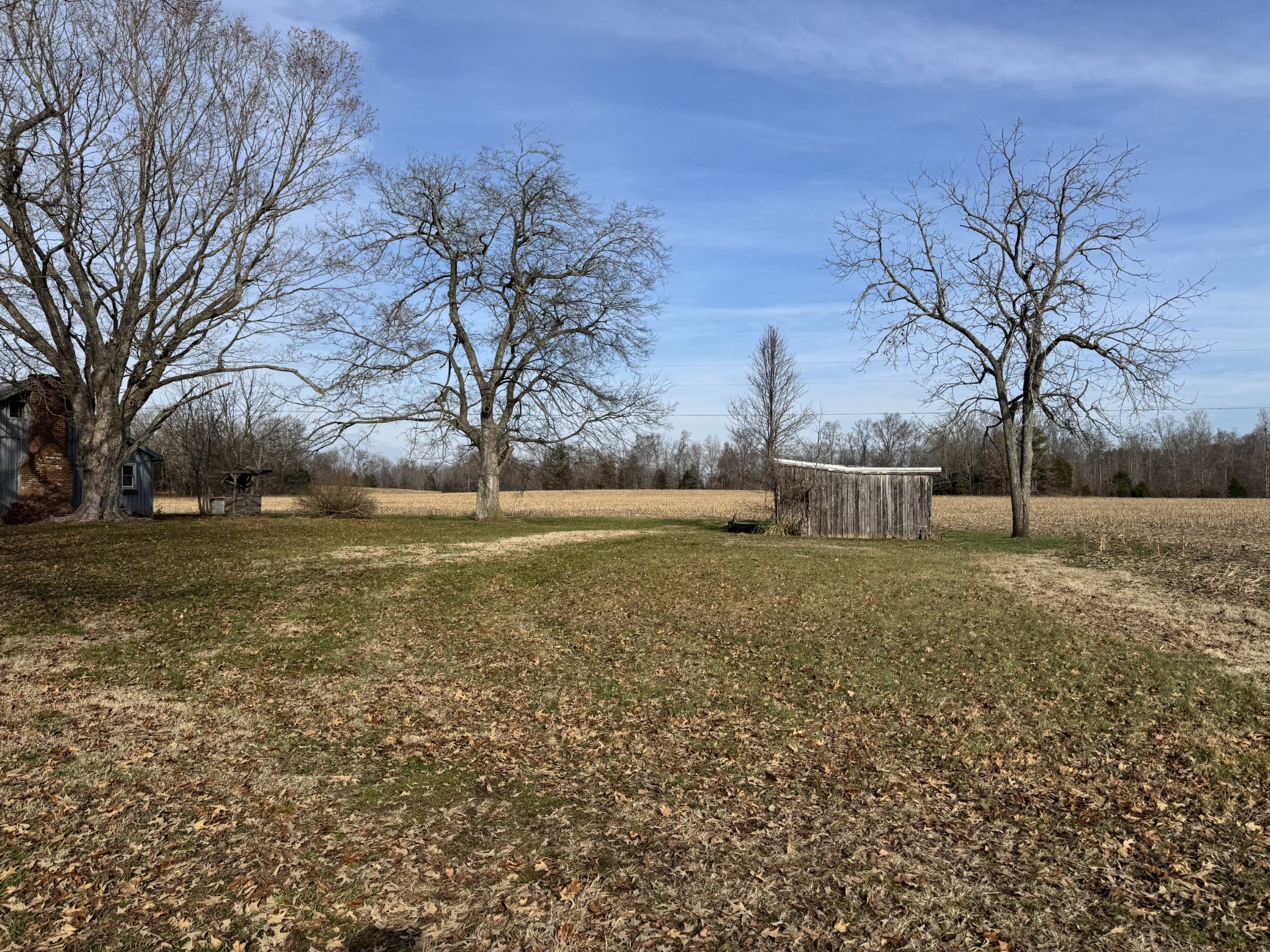 738 Keel Hollow Road Dover, TN 37058 - Photo 7 of 12 a backyard of a house with lots of green space