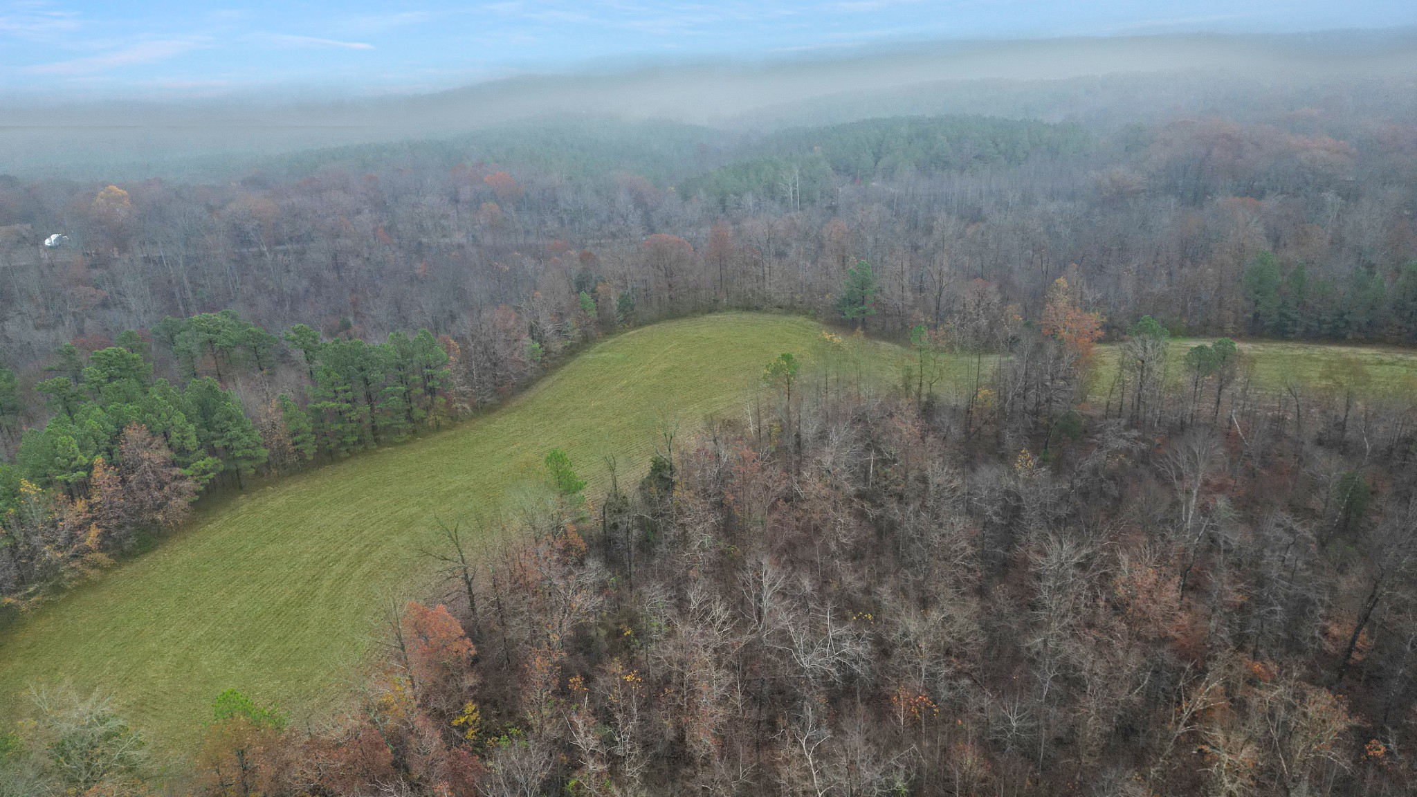 738 Keel Hollow Road Dover, TN 37058 - Photo 8 of 17 a view of a yard