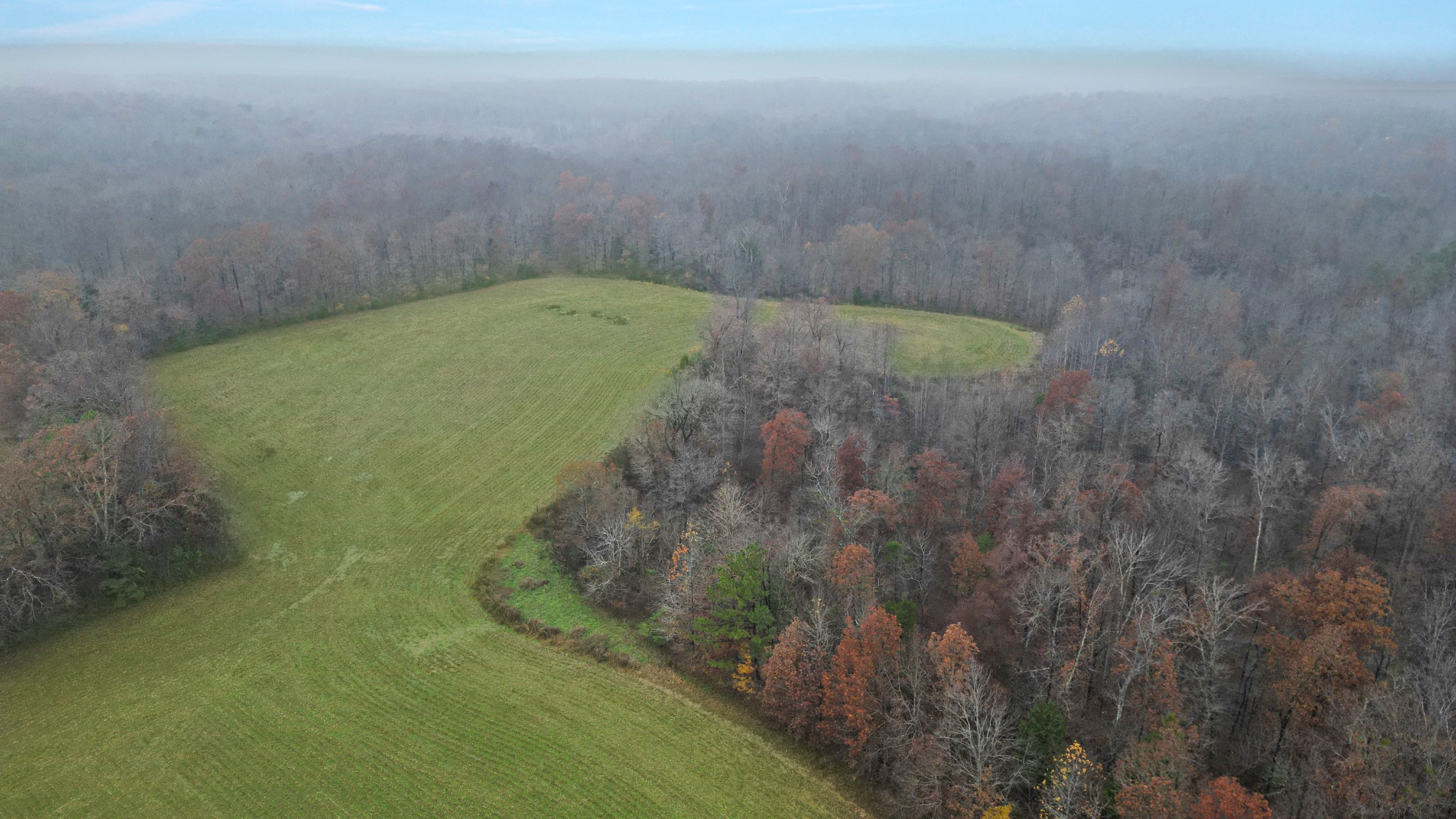 738 Keel Hollow Road Dover, TN 37058 - Photo 9 of 12 a view of outdoor space and yard