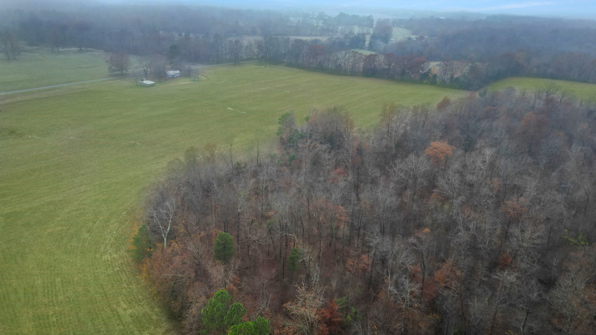 738 Keel Hollow Road Dover, TN 37058 - Photo 10 of 17 a view of a yard