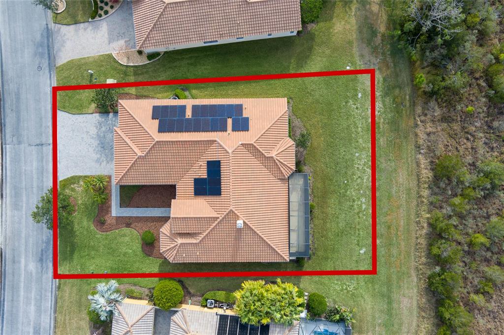 729 San Raphael Street Kissimmee, FL 34759 - Photo 45 of 47