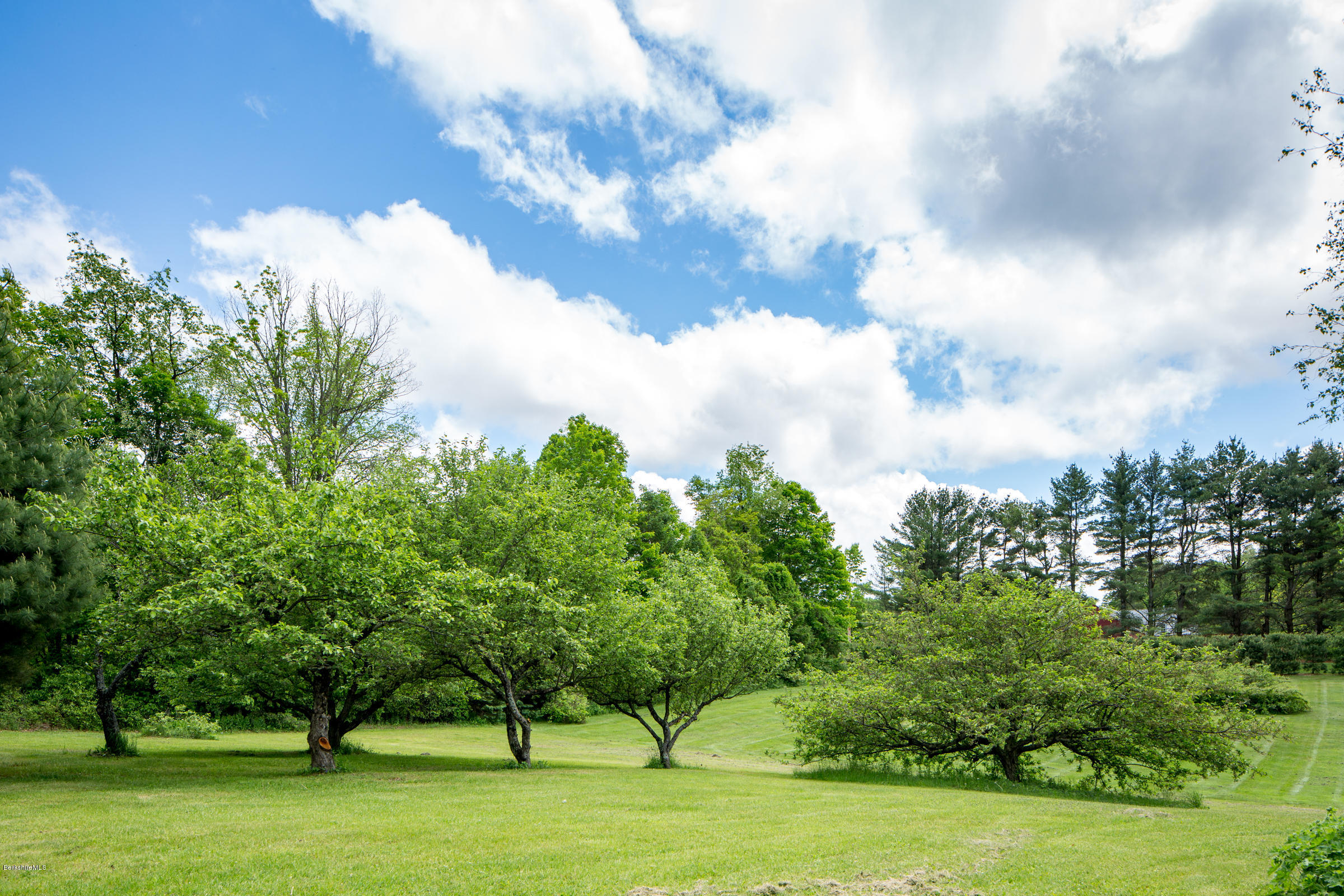 128 West Center Road West Stockbridge, MA 01266 - Photo 21 of 21 a view of a big yard with plants and large trees