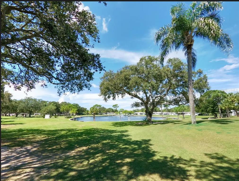 1100 South Belcher Road, Unit 271 Largo, FL 33771 - Photo 56 of 71 Gallery Image 56