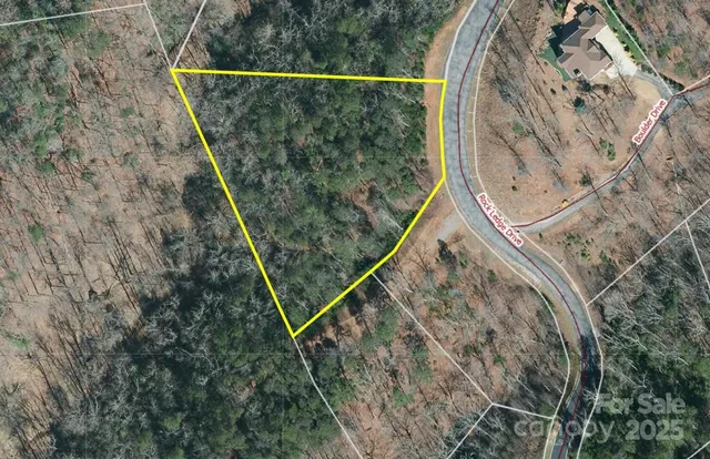 a view of wooden floor in a backyard