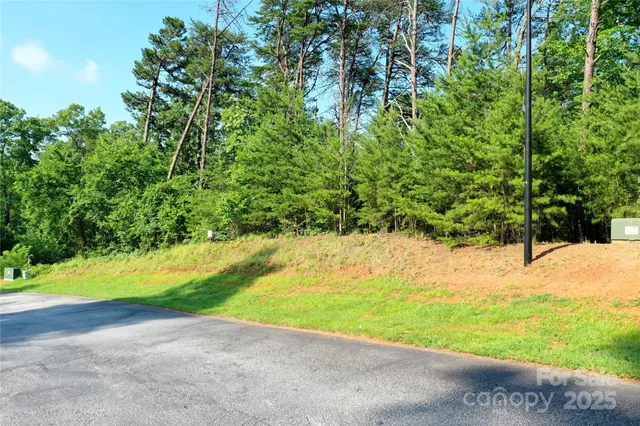 a view of a yard with a tree