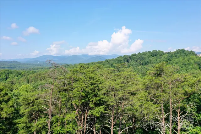 a view of a big yard