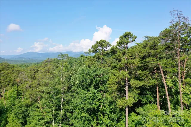 a view of a bunch of trees