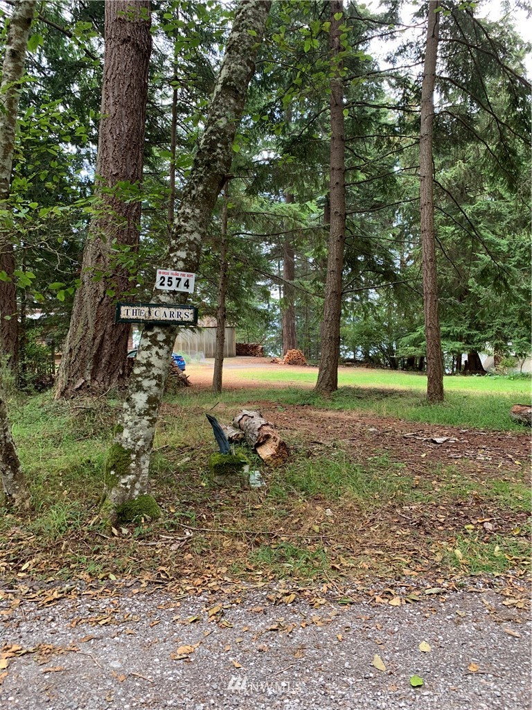 2577 Raccoon Point Road Orcas Island, WA 98245 - Photo 22 of 23 Gallery Image 22