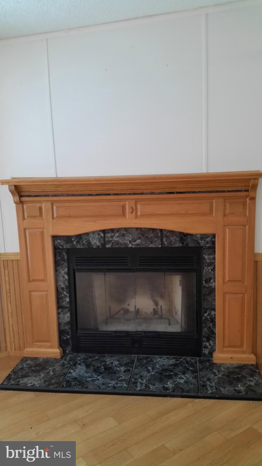 9387 Dulaney Road Rixeyville, VA 22737 - Photo 15 of 27 Woodburning fireplace in Living Room