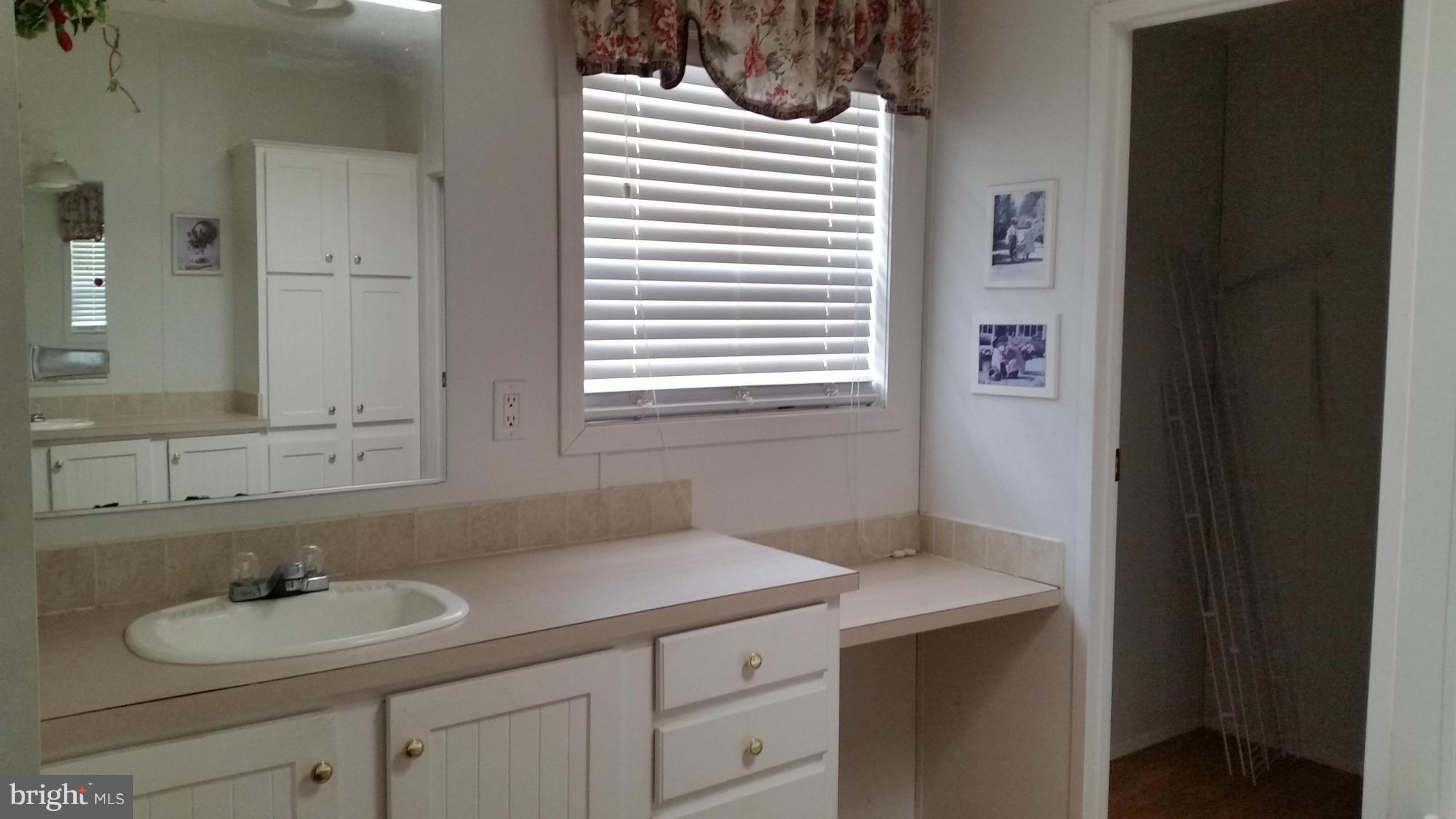 9387 Dulaney Road Rixeyville, VA 22737 - Photo 26 of 27 Bath (Master)