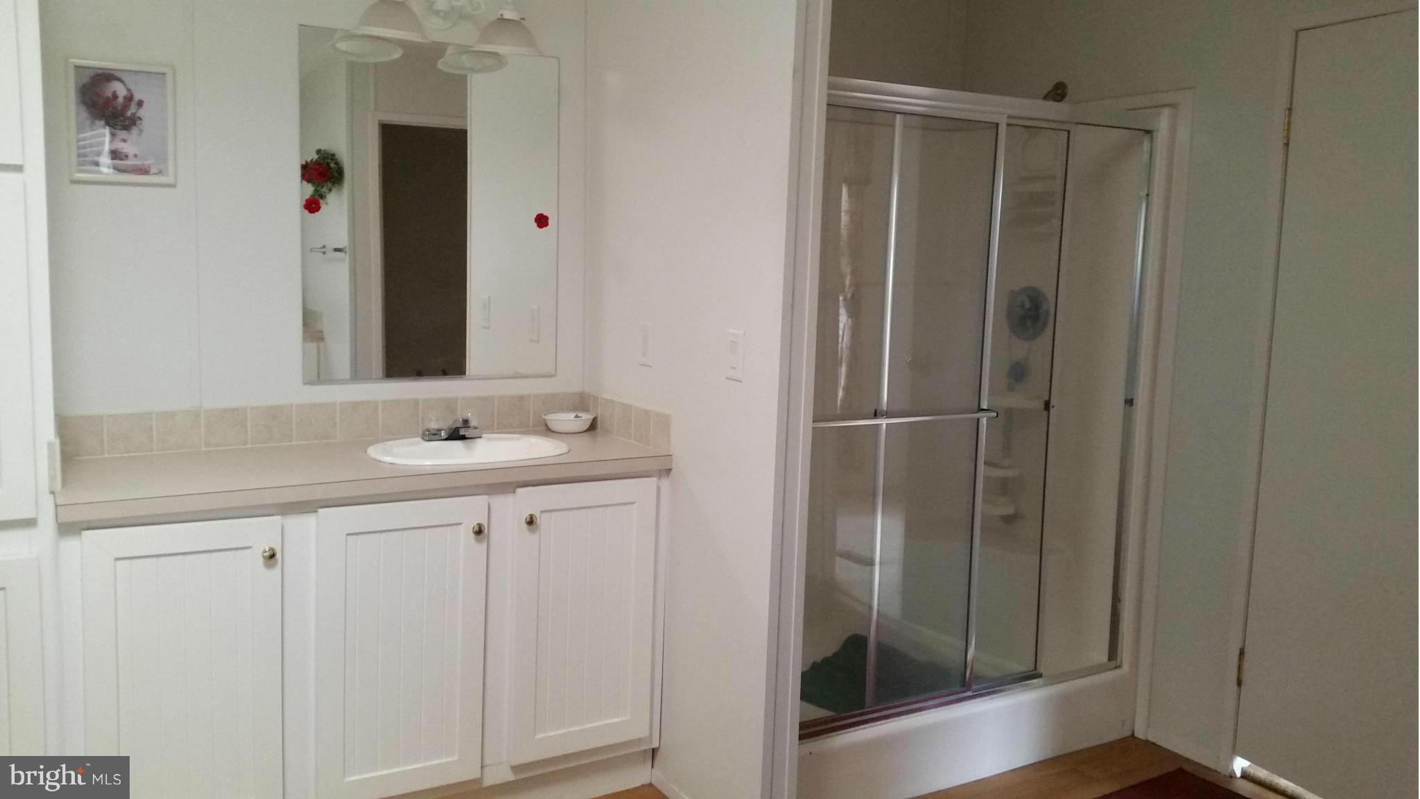 9387 Dulaney Road Rixeyville, VA 22737 - Photo 27 of 27 2nd sink and separate shower
