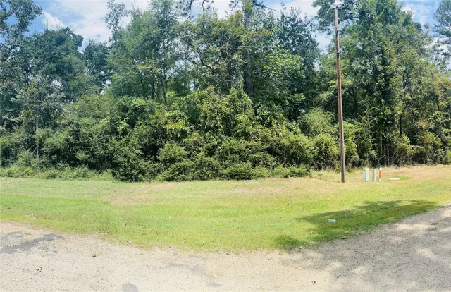 a view of a yard with a trees