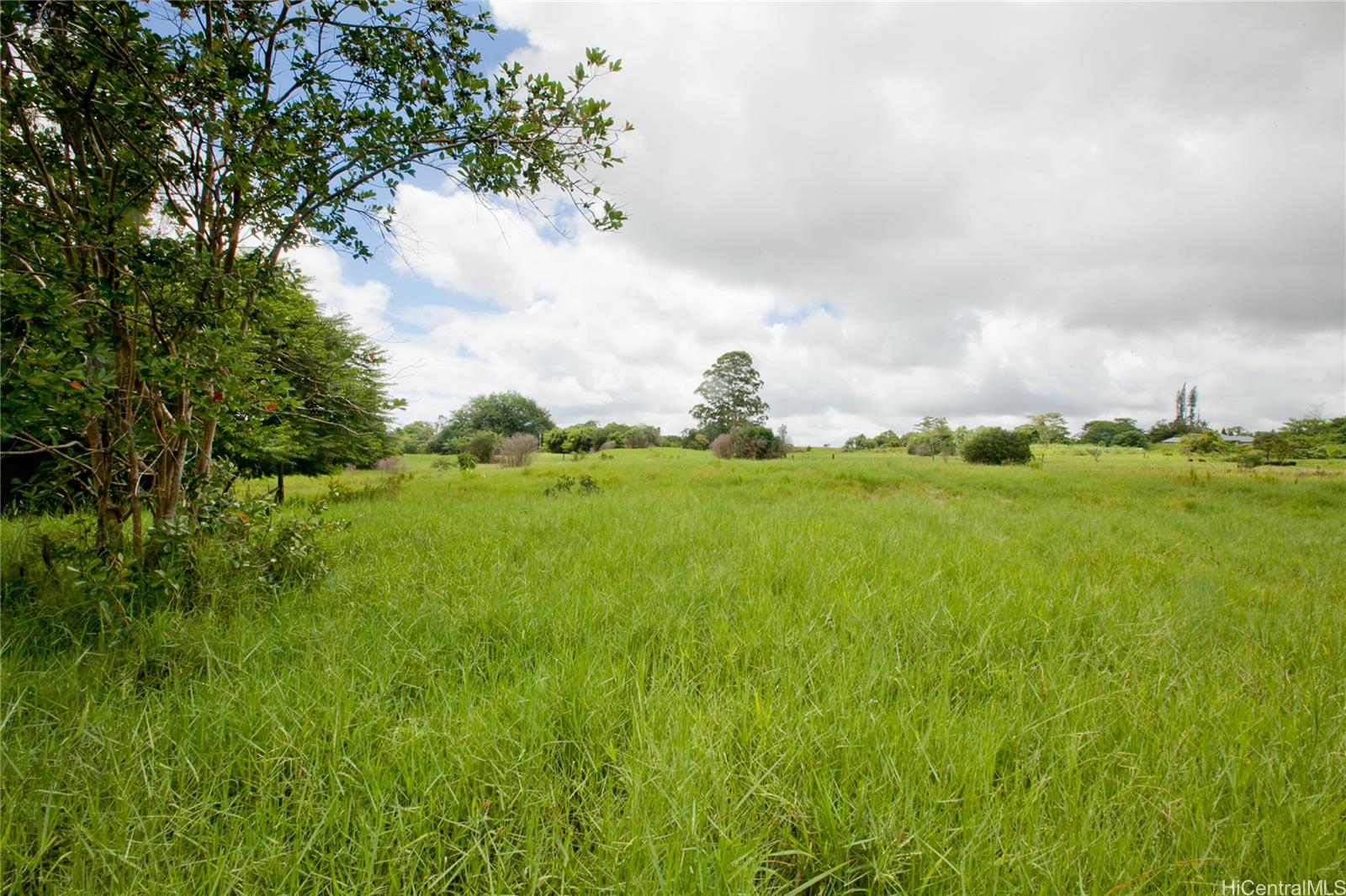 205 Hoaka Road Hilo, HI 96720 - Photo 1 of 1 a view of an ocean from a yard