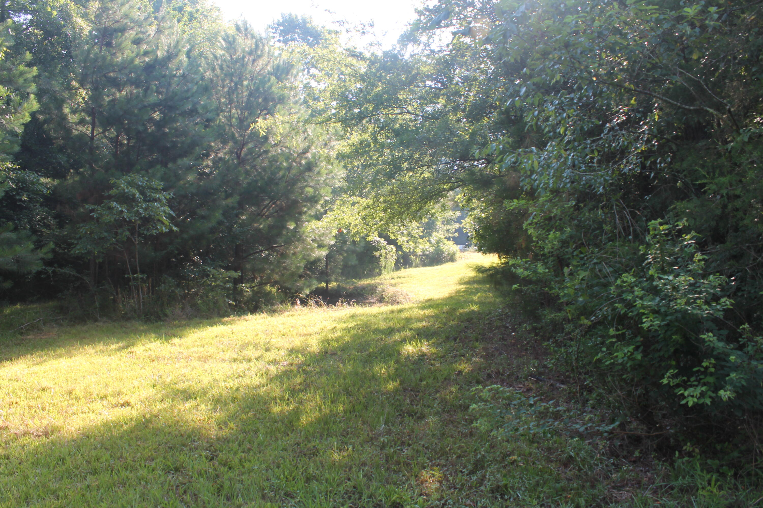 1200 B Highway McCormick, SC 29835 - Photo 11 of 11 a view of yard from window