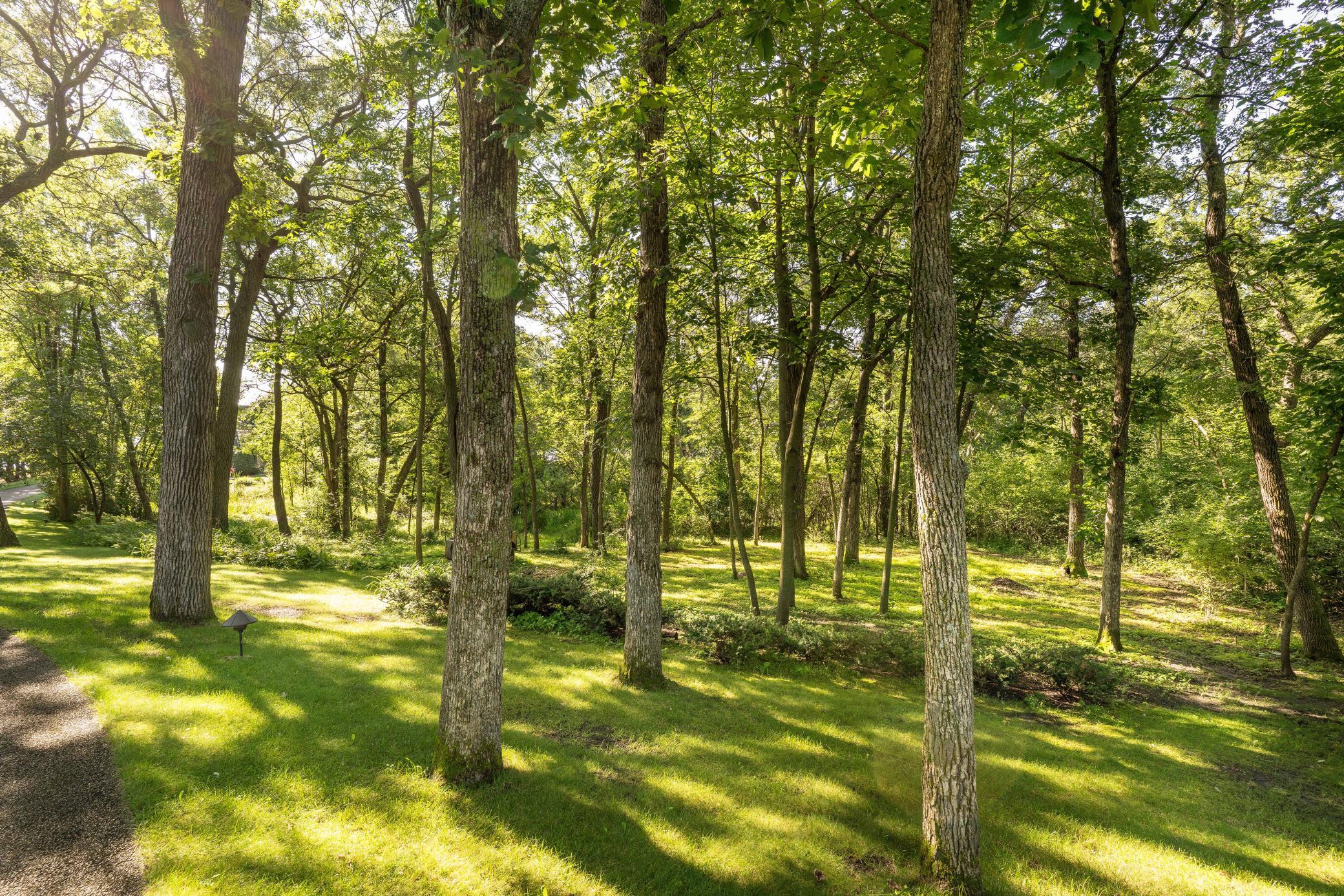 2807 Government Point Road Northeast Alexandria, MN 56308 - Photo 4 of 128