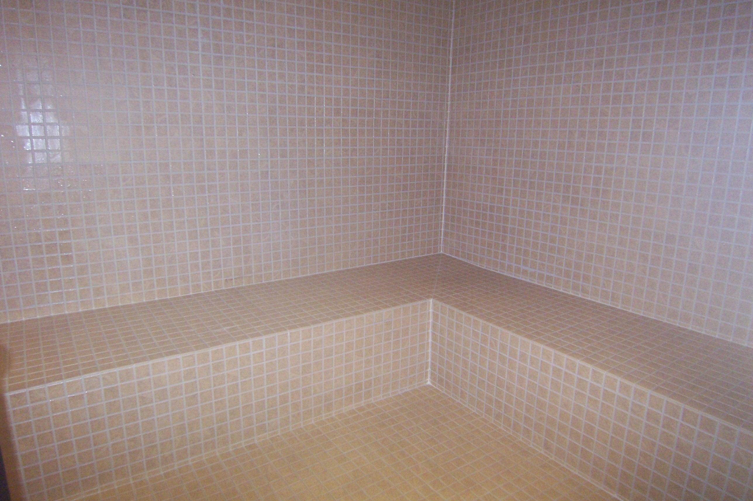 108 Littonberry Street Oak Ridge, TN 37830 - Photo 15 of 19 45 Steam Room