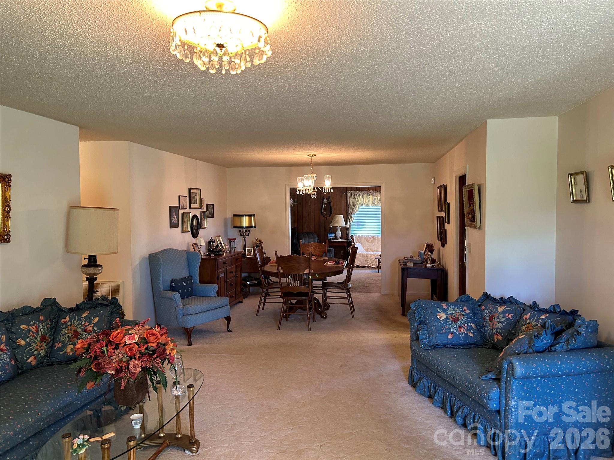 336 Bridges Road Blacksburg, SC 29702 - Photo 3 of 26 a living room with furniture flowerpot and a chandelier