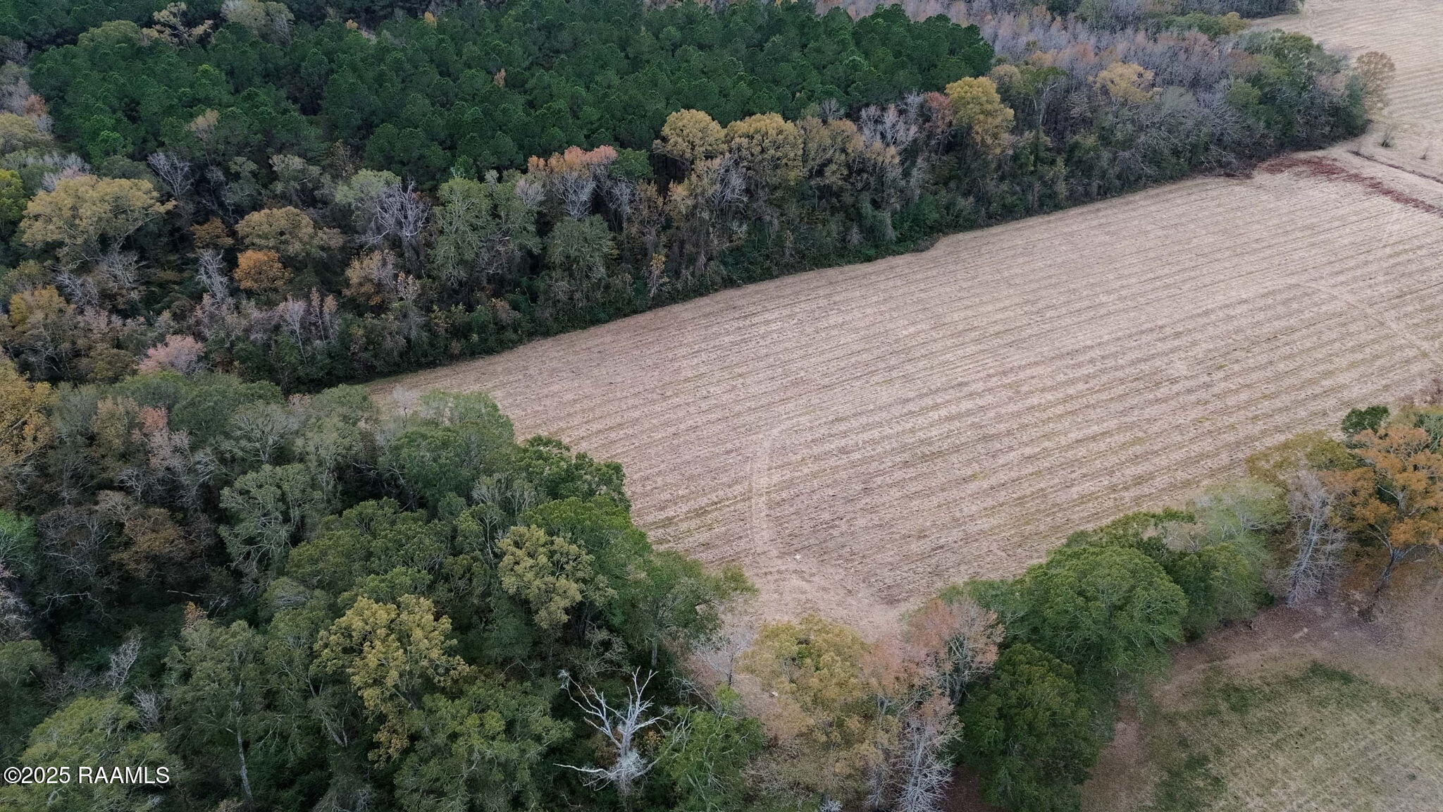 Tbd Muscadine Road Sunset, LA 70584 - Photo 5 of 6 5