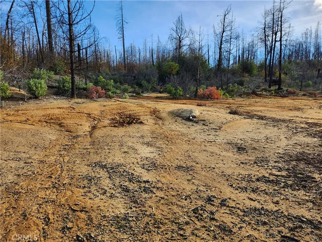 a view of road with trees