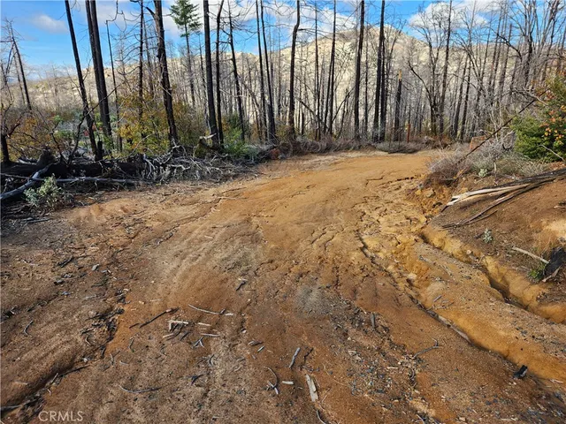 a view of a backyard of the house