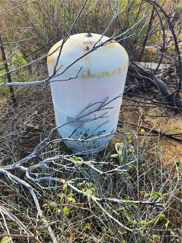 a view of a bird bath room