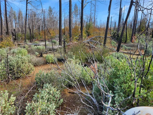 a view of outdoor space with sitting area