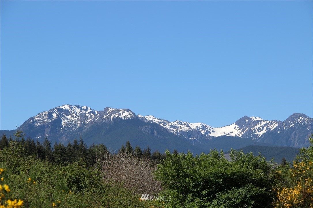 9999 O Brien Road Port Angeles, WA 98362 - Photo 2 of 3 Gallery Image 2