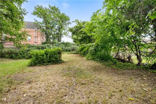 a view of a yard with plants and large trees
