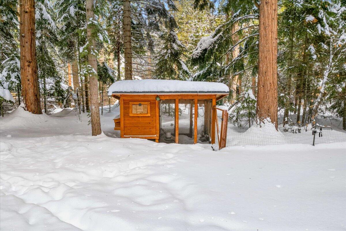 1216 Timber Hills Road Mount Shasta, CA 96067 - Photo 3 of 32 04-1216 Timber Hills Rd 4