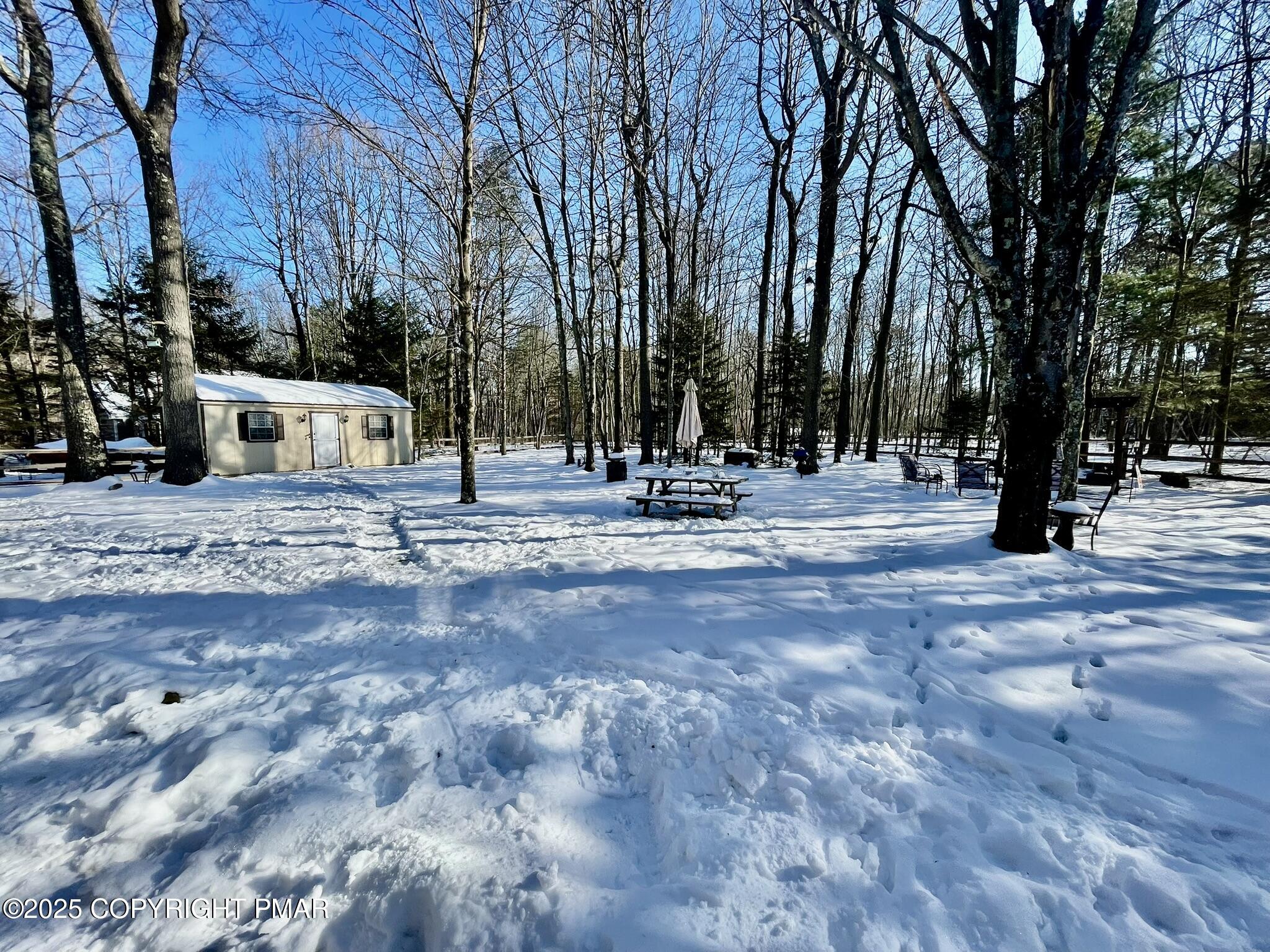 73 Panther Run Road Jim Thorpe, PA 18229 - Photo 52 of 55 a view of road with trees