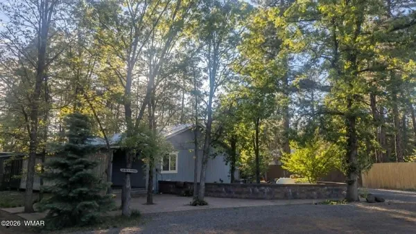 a view of road and trees