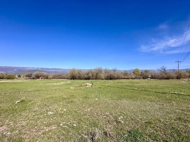 1010 Southwest 11th Avenue Cedaredge, CO 81413 - Photo 13 of 28
