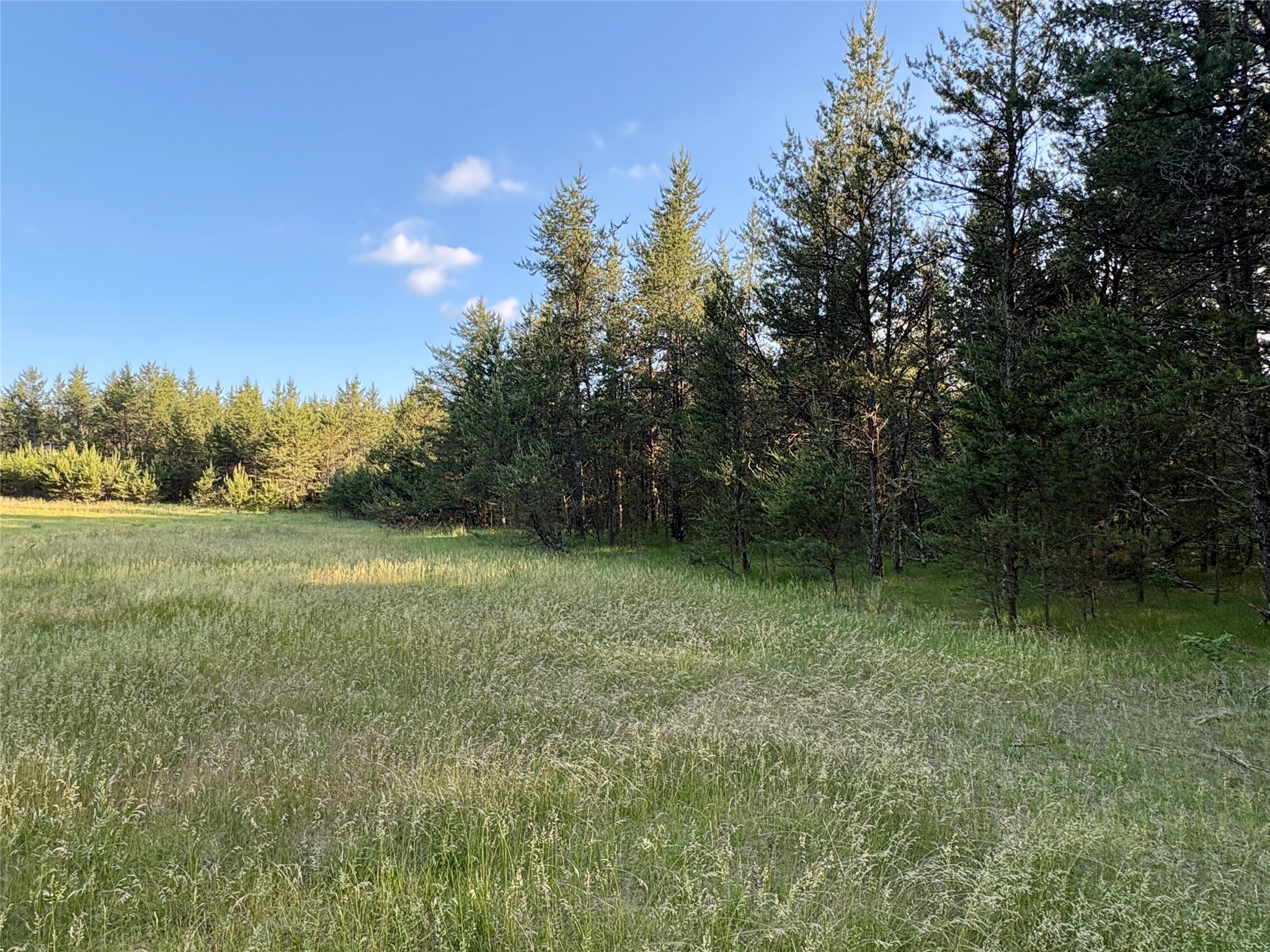 0 Cty Road Augusta, WI 54722 - Photo 34 of 53
