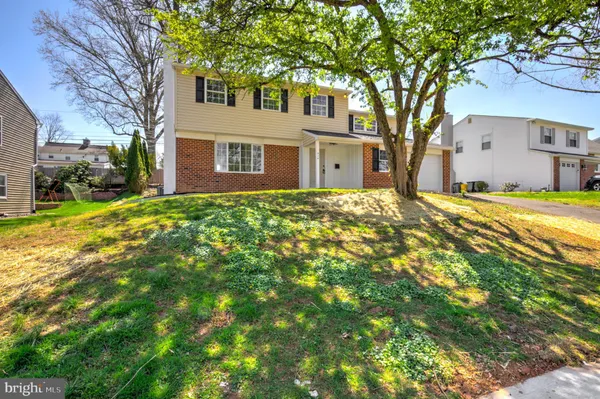 a view of backyard with large tree