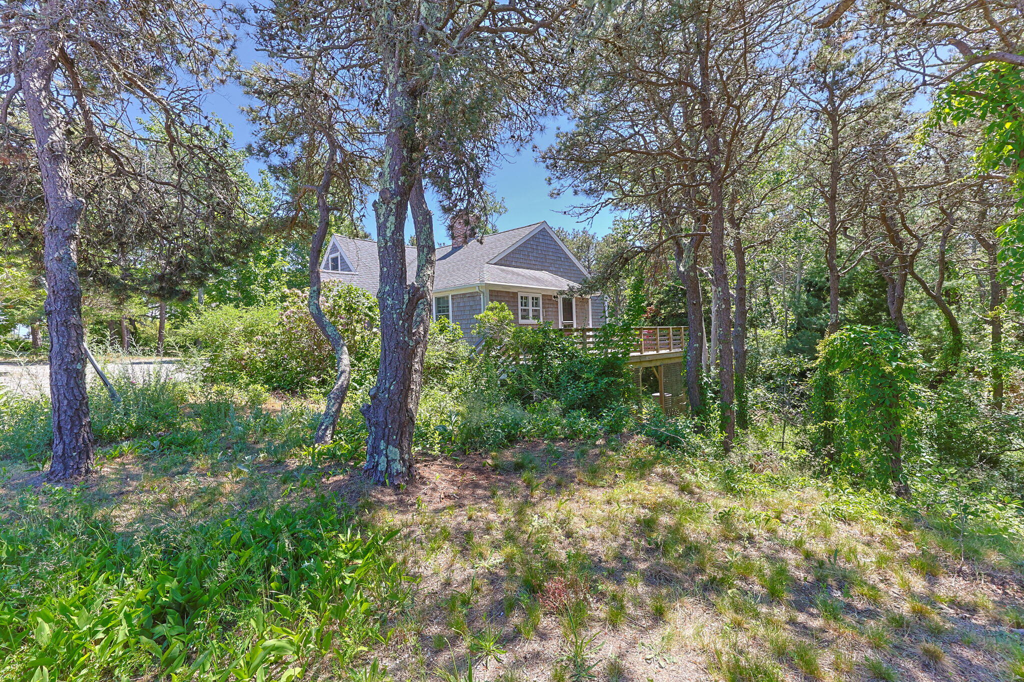 78 Shore Road Truro, MA 02666 - Photo 40 of 44 52-web-or-mls-78-shore-rd