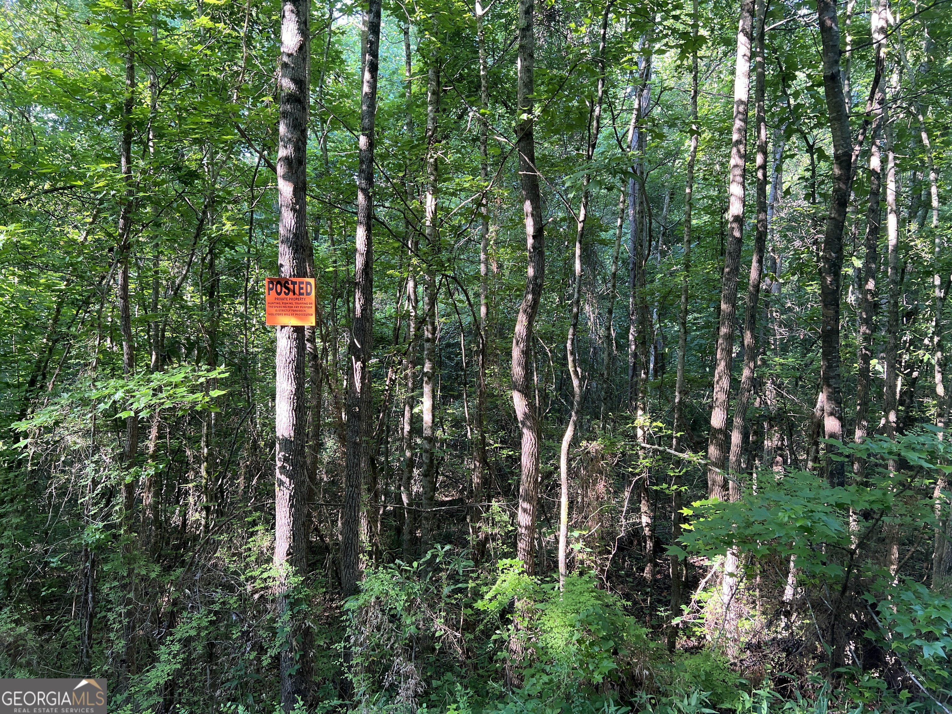 0 Jordan Road Monticello, GA 31064 - Photo 12 of 13 a view of a city with lush green forest