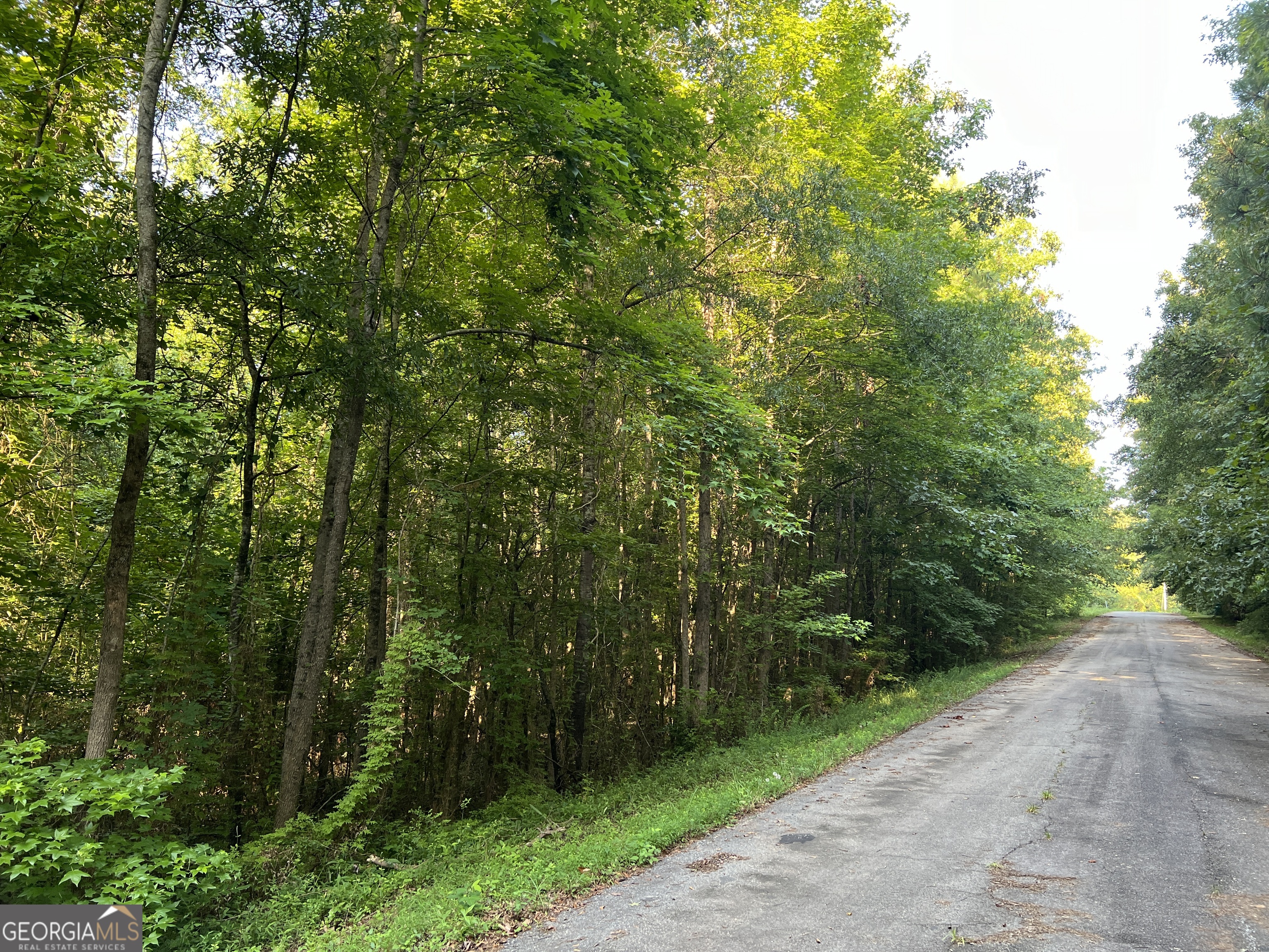 0 Jordan Road Monticello, GA 31064 - Photo 2 of 13 a view of a street with a trees in the background