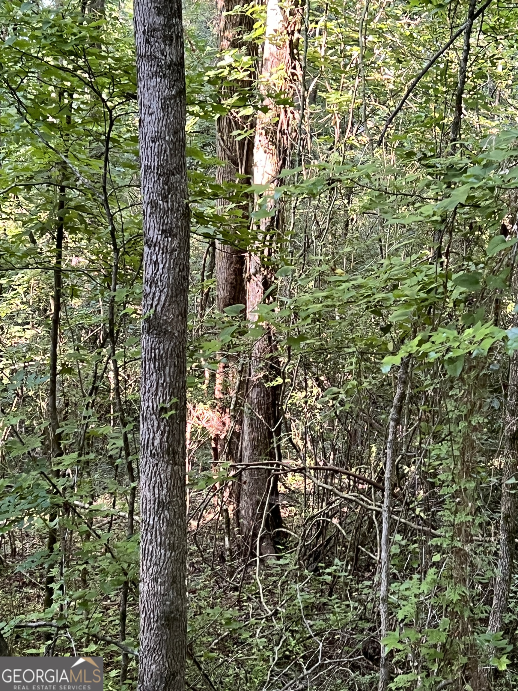 0 Jordan Road Monticello, GA 31064 - Photo 6 of 13