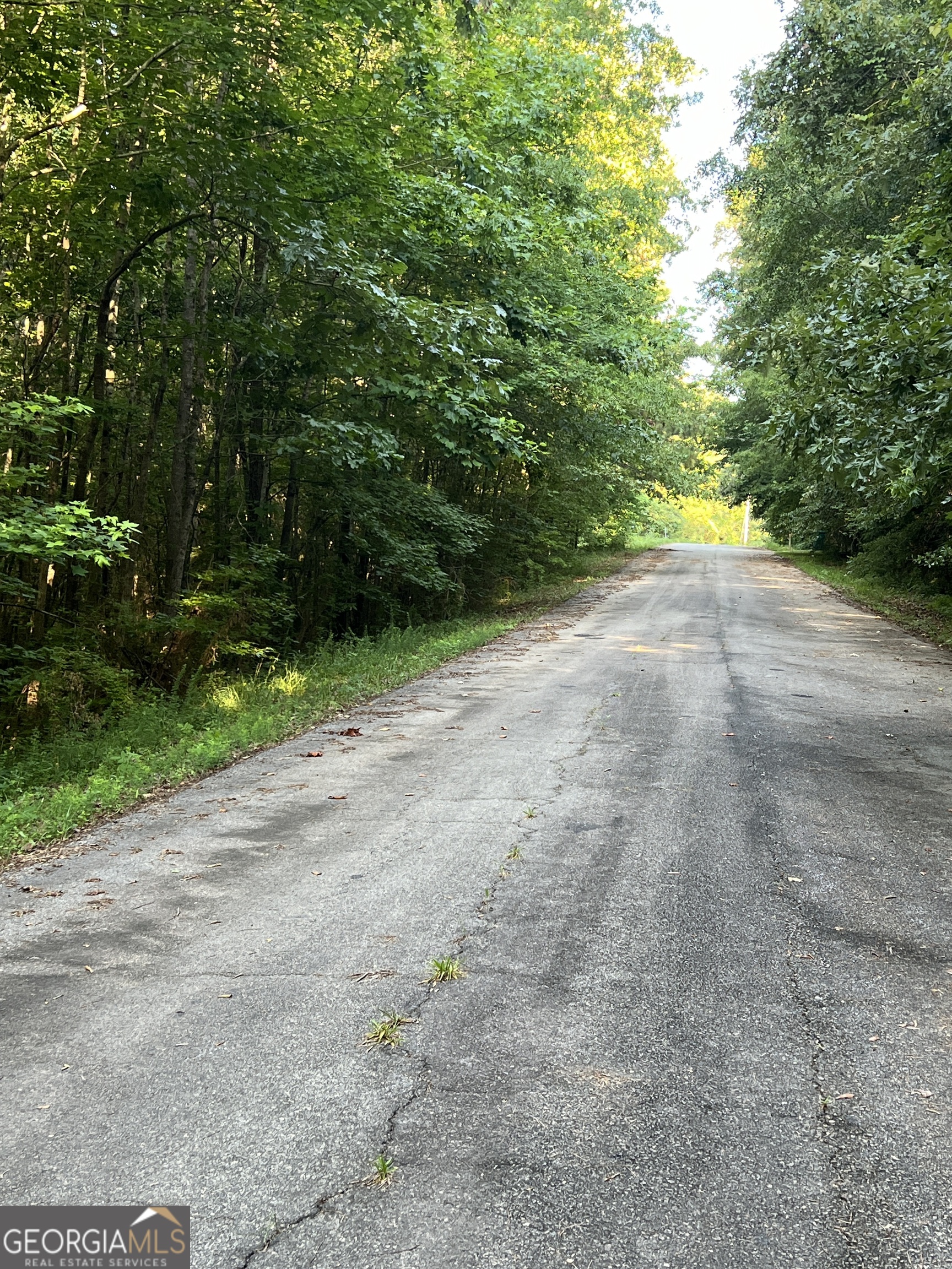 0 Jordan Road Monticello, GA 31064 - Photo 7 of 13 a view of a yard with plants and a trees