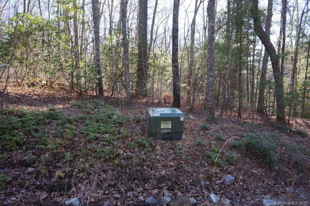 550 Upper Whitewater Road, Unit 4B 4A Sapphire, NC 28774 - Photo 3 of 24 Gallery Image 3