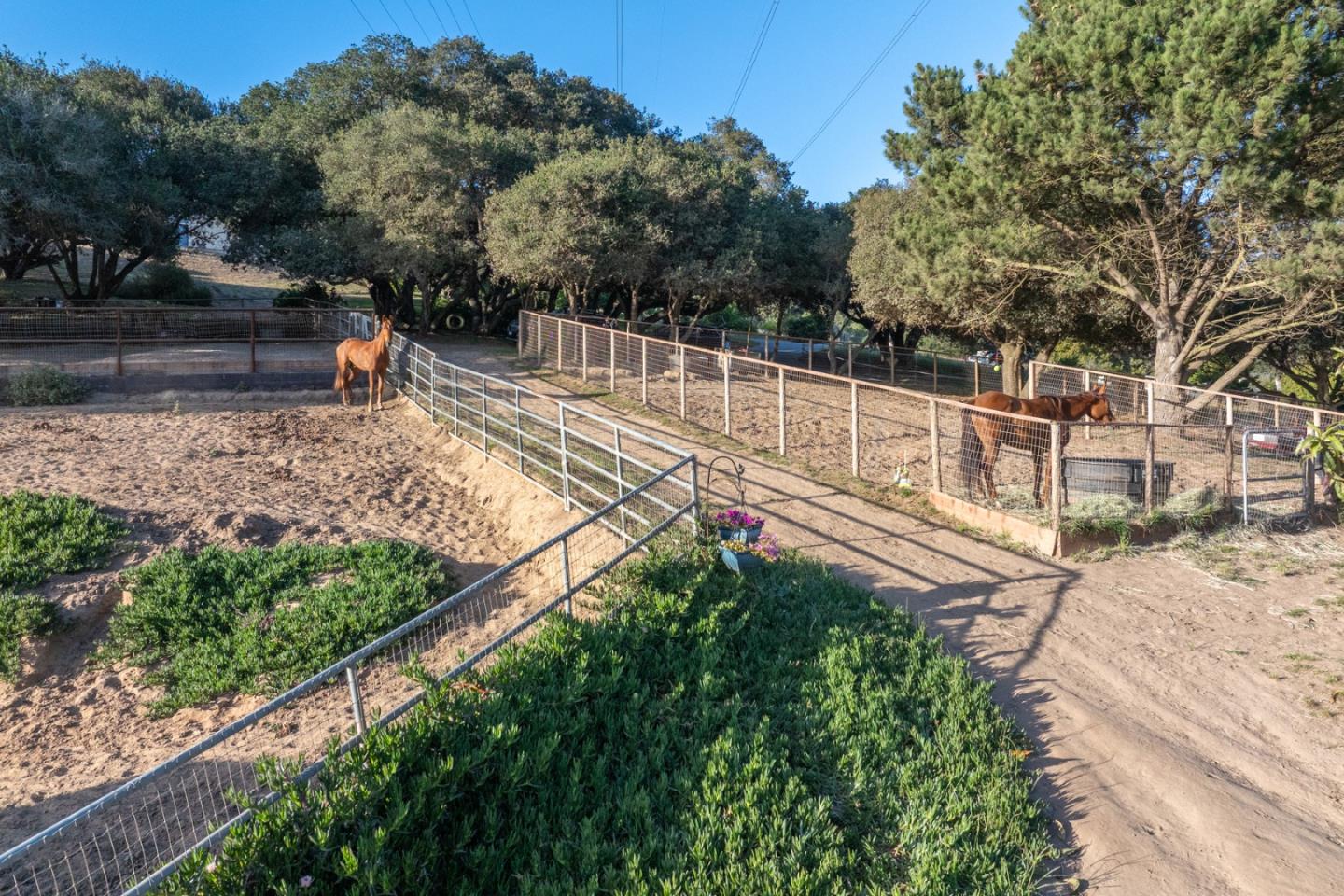67 Tucker Road Watsonville, CA 95076 - Photo 26 of 32 a view of a backyard with wooden fence