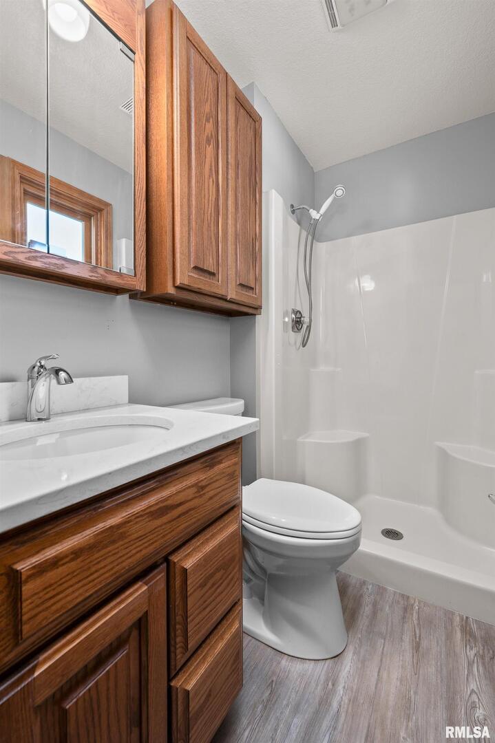 916 Ash Drive Colona, IL 61241 - Photo 22 of 38 a bathroom with a sink a toilet and shower