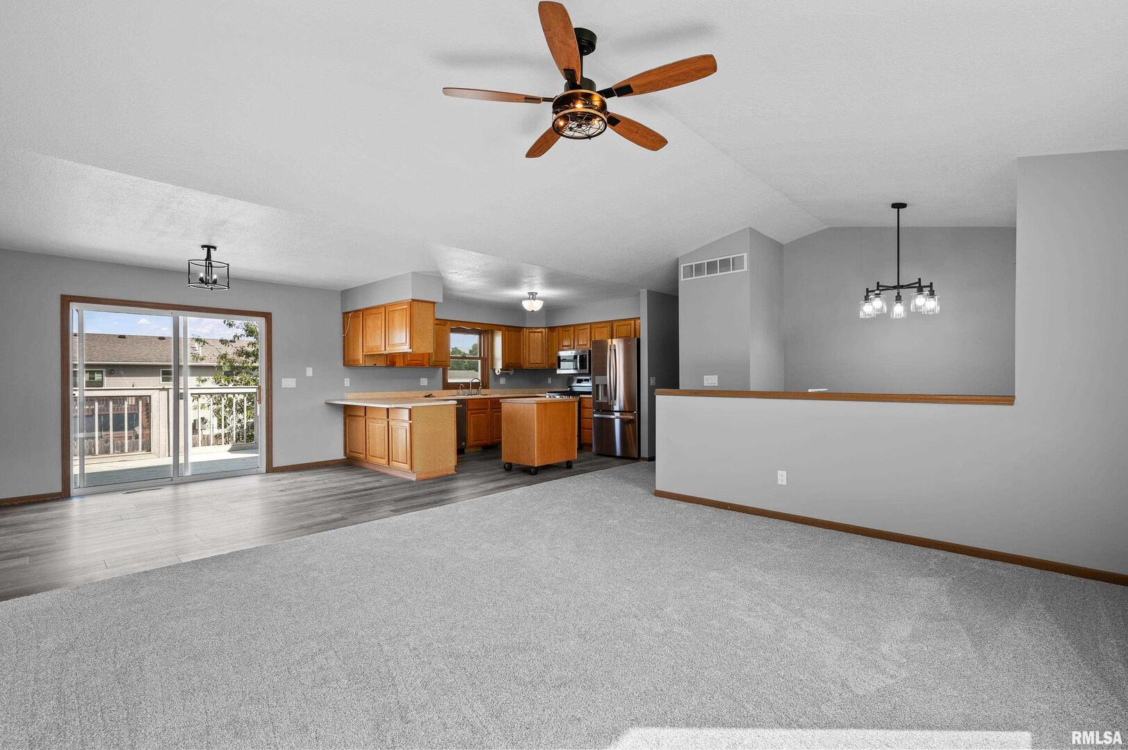 916 Ash Drive Colona, IL 61241 - Photo 4 of 38