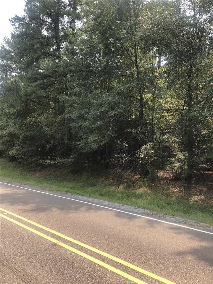 0 Robinson Springs Road Madison, MS 39110 - Photo 1 of 1 Photo 1
